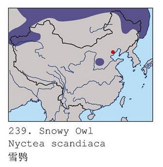 雪鸮的地理分布图