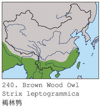 褐林鸮的地理分布图