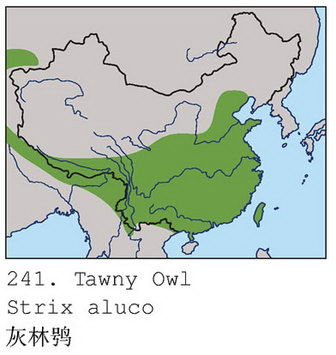 灰林鸮的地理分布图