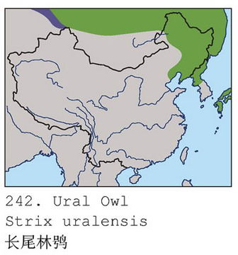 长尾林鸮的地理分布图