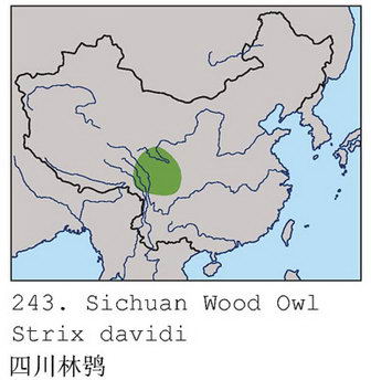 四川林鸮的地理分布图