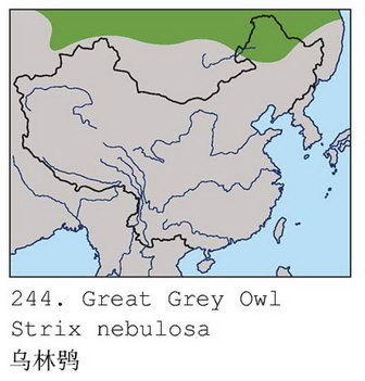 乌林鸮的地理分布图