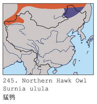 猛鸮的地理分布图
