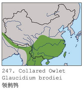 领鸺鹠的地理分布图