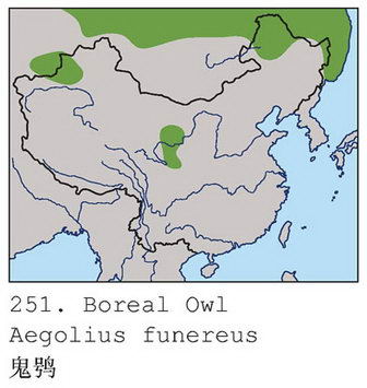 鬼鸮的地理分布图