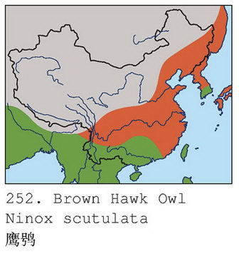 鹰鸮的地理分布图
