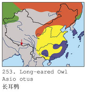 长耳鸮的地理分布图