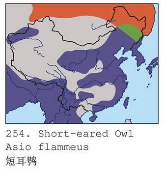 短耳鸮的地理分布图