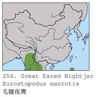 毛腿耳夜鹰的地理分布图