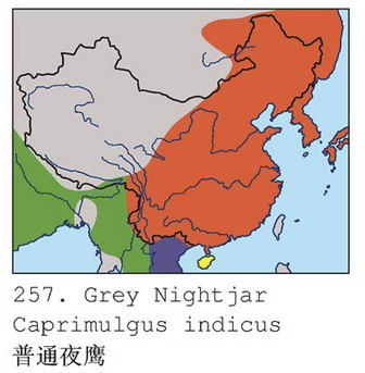 普通夜鹰的地理分布图