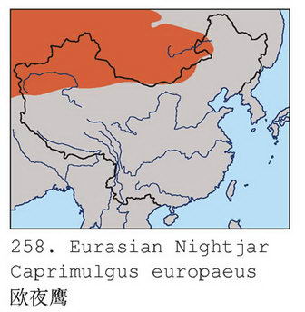 欧夜鹰的地理分布图