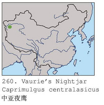 中亚夜鹰的地理分布图