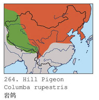 岩鸽的地理分布图