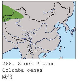 欧鸽的地理分布图