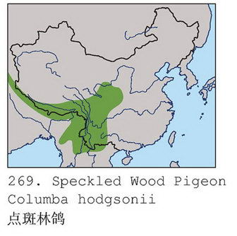 点斑林鸽的地理分布图