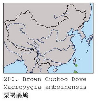 栗褐鹃鸠的地理分布图