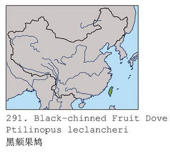 黑颏果鸠的地理分布图