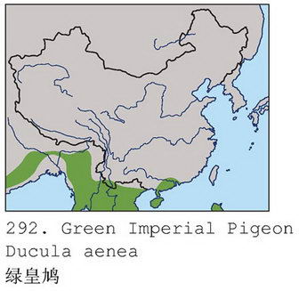 绿皇鸠的地理分布图