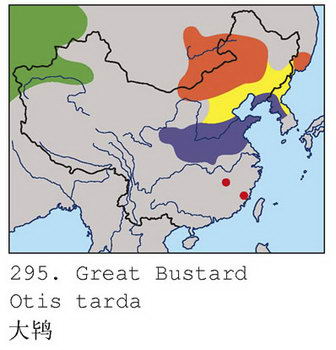 大鸨的地理分布图