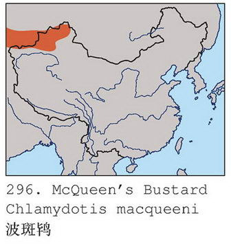 波斑鸨的地理分布图