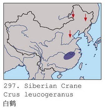 白鹤的地理分布图