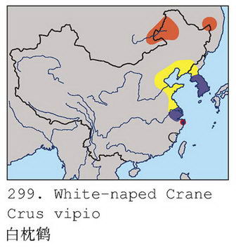 白枕鹤的地理分布图
