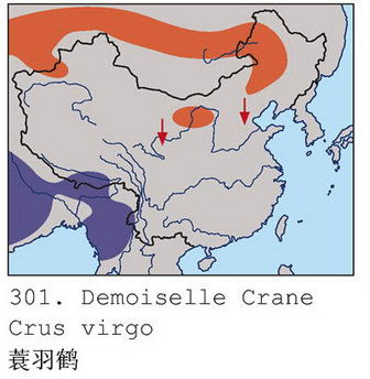 蓑羽鹤的地理分布图