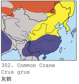 灰鹤的地理分布图