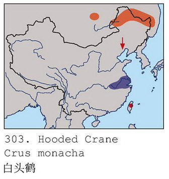 白头鹤的地理分布图