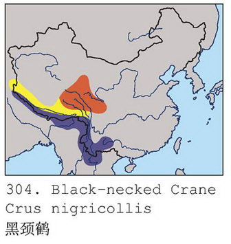 黑颈鹤的地理分布图