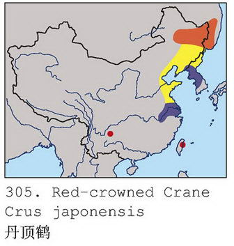 丹顶鹤的地理分布图