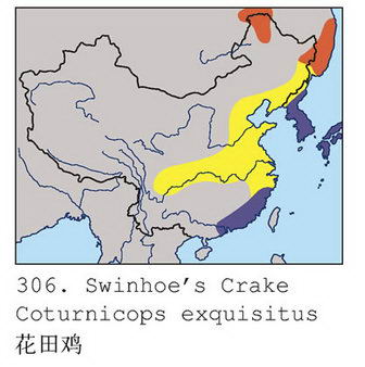 花田鸡的地理分布图