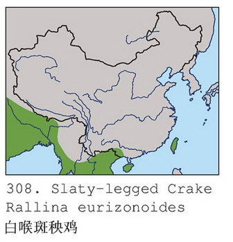 白喉斑秧鸡的地理分布图