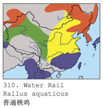 普通秧鸡的地理分布图