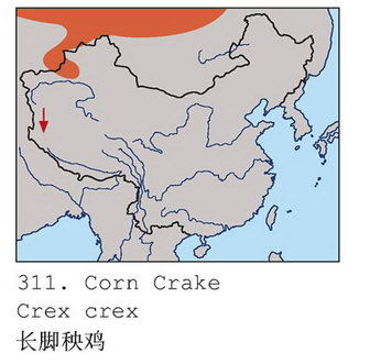 长脚秧鸡的地理分布图