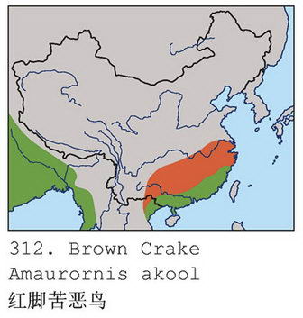 红脚苦恶鸟的地理分布图