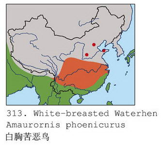 白胸苦恶鸟的地理分布图