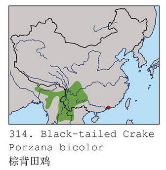 棕背田鸡的地理分布图