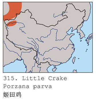 姬田鸡的地理分布图