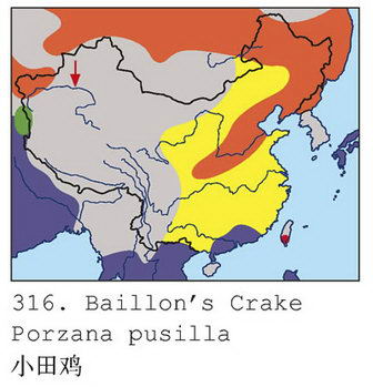 小田鸡的地理分布图