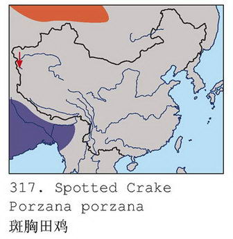 斑胸田鸡的地理分布图