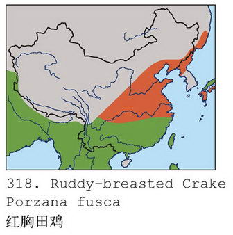 红胸田鸡的地理分布图