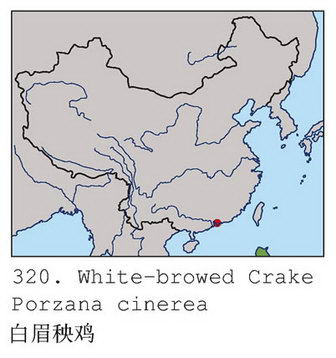 白眉田鸡的地理分布图