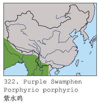 紫水鸡的地理分布图