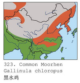 黑水鸡的地理分布图