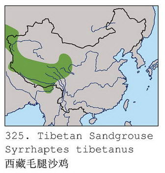 西藏毛腿沙鸡的地理分布图