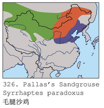 毛腿沙鸡的地理分布图