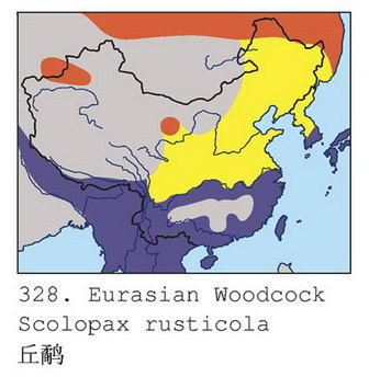 丘鹬的地理分布图