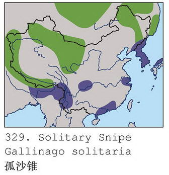 孤沙锥的地理分布图