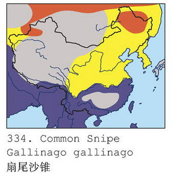 扇尾沙锥的地理分布图